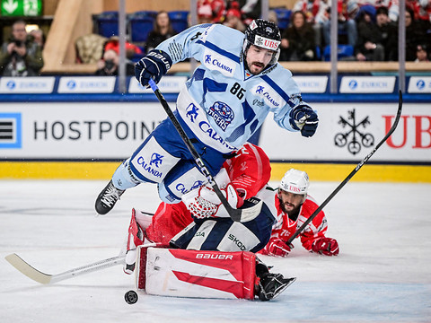 Les Straubing Tigers en demi-finale