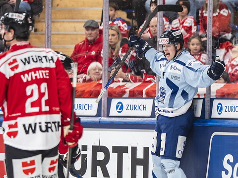Les Straubing Tigers en finale