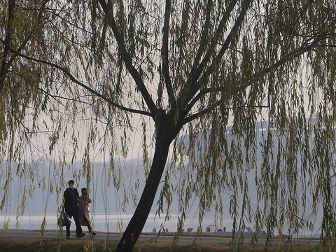 Pyongyang dévoile un plan de futur complexe touristique