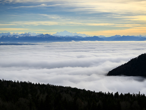 Le brouillard, arrivé par surprise pendant les fêtes, dur à prédire
