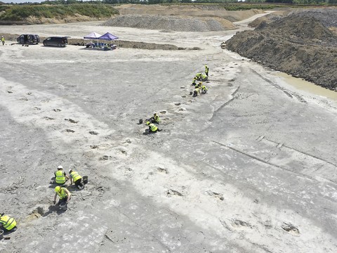 Royaume-Uni: le plus grand site d'empreintes de dinosaures