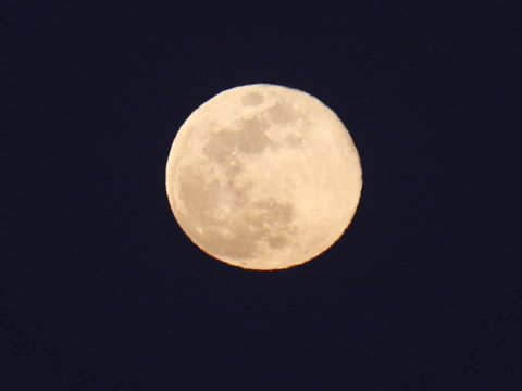 Un alunisseur privé américain bientôt en route pour la Lune