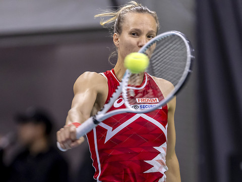 Golubic dans le tableau principal à Melbourne