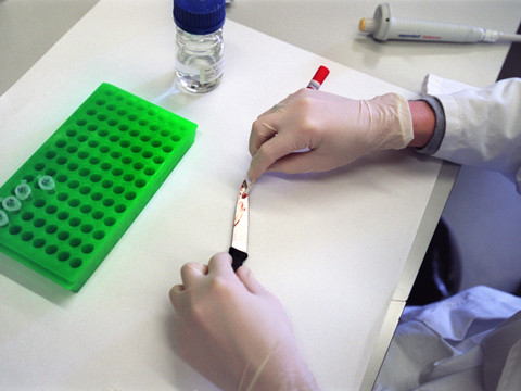 Pas de crise de confiance dans la science, selon une étude