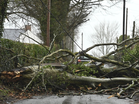 Tempête Eowyn: milliers de foyers privés d'électricité en Irlande