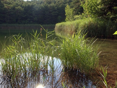 Les cours d'eau dans un état 