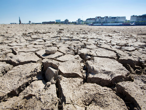 Le mois de janvier 2025 le plus chaud jamais mesuré dans le monde