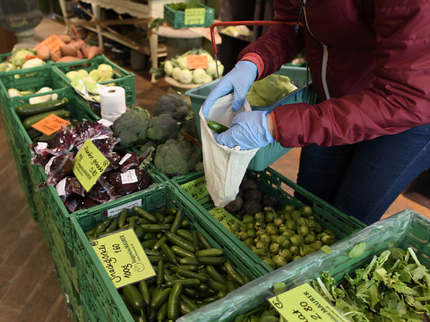 La surface de production de légumes bio en forte hausse en Suisse