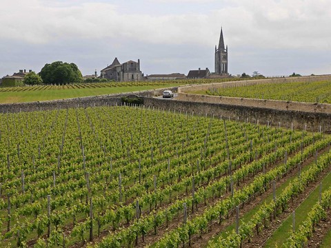 Vin: le Bordelais connaît sa plus faible récolte depuis 1991