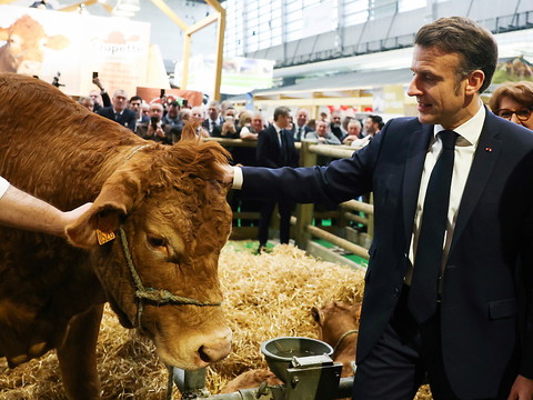 Au Salon de l'agriculture, Macron tente de rassurer