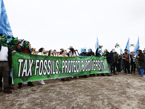 COP16: adoption de justesse d'un plan pour financer la biodiversité