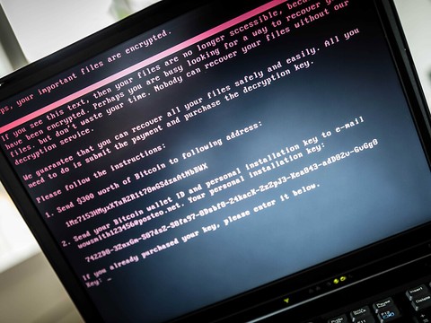 Le Pentagone ordonne une pause des opérations cyber contre Moscou
