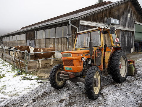 Le Parlement accorde plus de moyens pour l'agriculture suisse