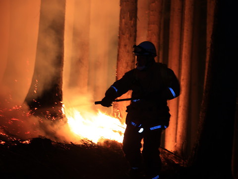 Le Japon confronté à son pire incendie de forêt en 50 ans