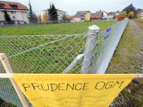 Vers une prolongation du moratoire sur le génie génétique