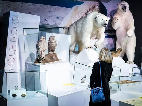 Les régions polaires s'invitent à l'aquarium-vivarium Aquatis