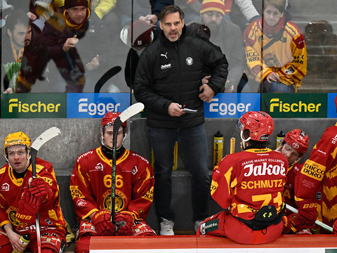 Des tigres affamés défient le LHC