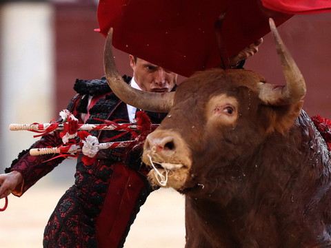 Mexico porte l'estocade aux corridas avec mise à mort des taureaux