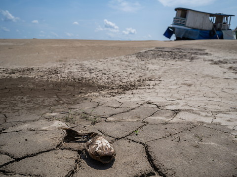 Immensément riche en eau, le Brésil pourtant de plus en plus sec
