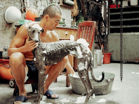 Le FIFF sacre le film chinois 