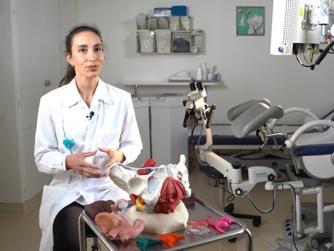 Plus d'un million pour la recherche génitale et oncologique