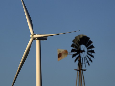 Hérault: arrêt d'un parc éolien ordonné après la mort d'un aigle