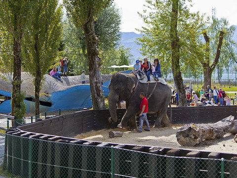 Fin proche des rondes à dos d'éléphant au zoo Knie de Rapperswil
