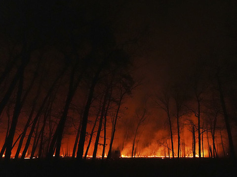 Feu de forêt: milliers d'évacuations dans le New Jersey