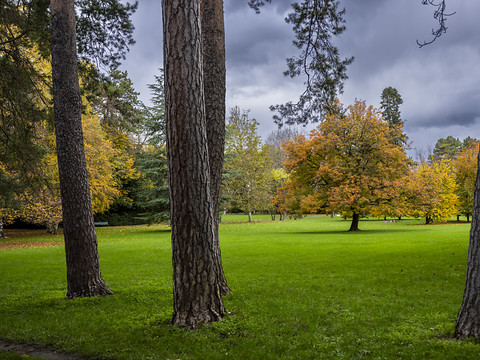 C'est prouvé, les espaces verts urbains favorisent la détente