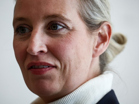 Le débat sur le parti AfD, classé 