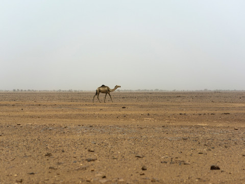 Chaleur record aux Emirats arabes unis en avril