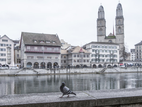 Zurich a perdu le plus grand nombre d'entreprises l'an passé
