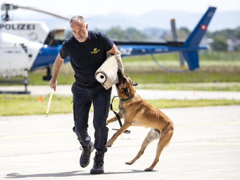 Valais: formation des chiens, le canton veut serrer la vis
