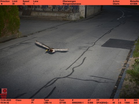 Un radar épingle un canard en excès de vitesse à Köniz (BE)