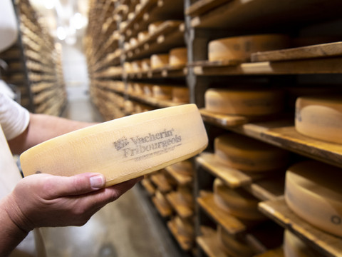 Record à l'exportation pour le Vacherin fribourgeois AOP en 2024