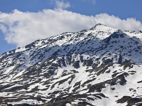 Le printemps commence toujours plus tôt en montagne
