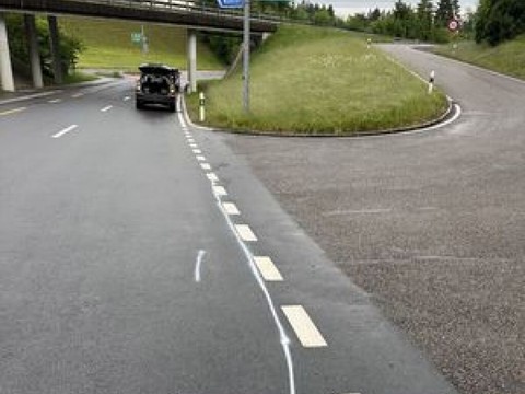 Collision mortelle entre un vélo électrique et un chat en Appenzell