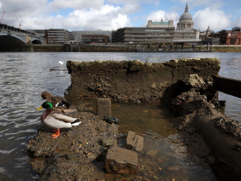 Thames Water écope d'une amende salée pour pollution