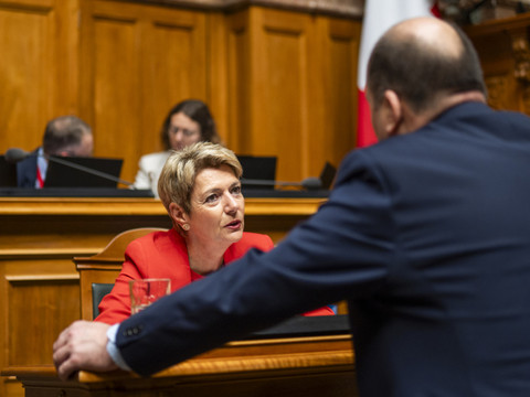 Le Parlement valide un budget supplémentaire pour Horizon