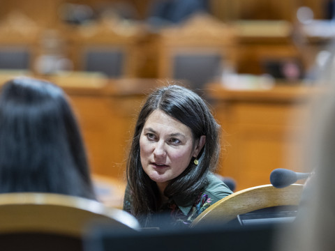Prise en charge des requérants mineurs délinquants à améliorer