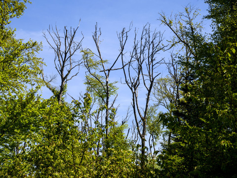 Changement climatique: une dizaine d'indicateurs dans le rouge