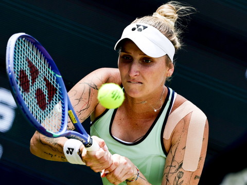 Vondrousova domine Sabalenka en demie