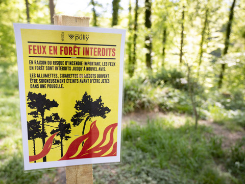 Risque marqué d'incendie de forêt dans plusieurs régions de Suisse