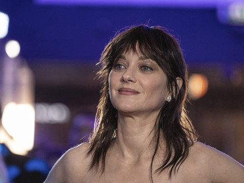 Marion Cotillard et Guillaume Canet annoncent leur séparation