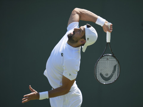 Djokovic: 