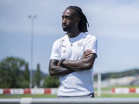 Johan Djourou: 