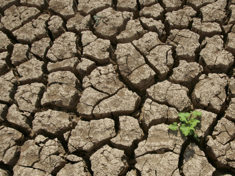 Objectif climatique 2040: déjà des embûches au Parlement européen