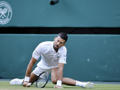 Novak Djokovic pour une revanche