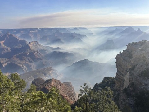 Touristes évacués du Grand Canyon à cause d'un vaste incendie