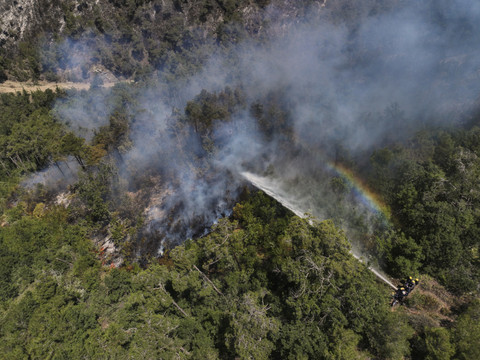 Syrie: lesfeux de forêts maîtrisés après 10 jours